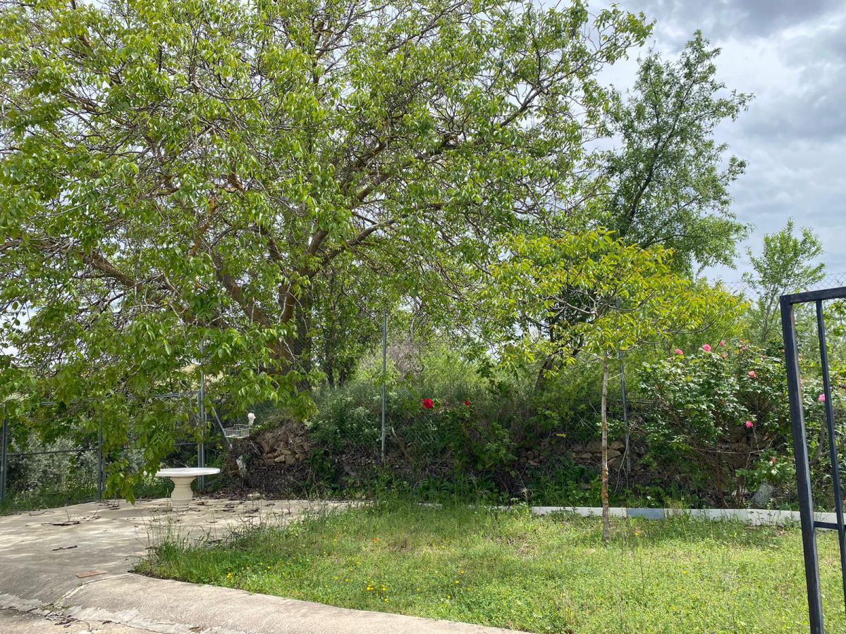House or chalet for sale in Casas de Lázaro  with Terrace and Storage room