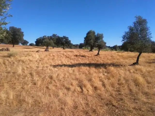 Terreno residenziale in vendita a Valsequillo