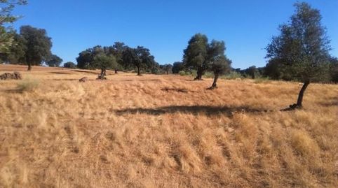 Parcela rustica en el distrito de Valsequillo con ruinas a pie de carretera con una superficie de 2, 5 Hectáreas, 25. 000m2 tiene 