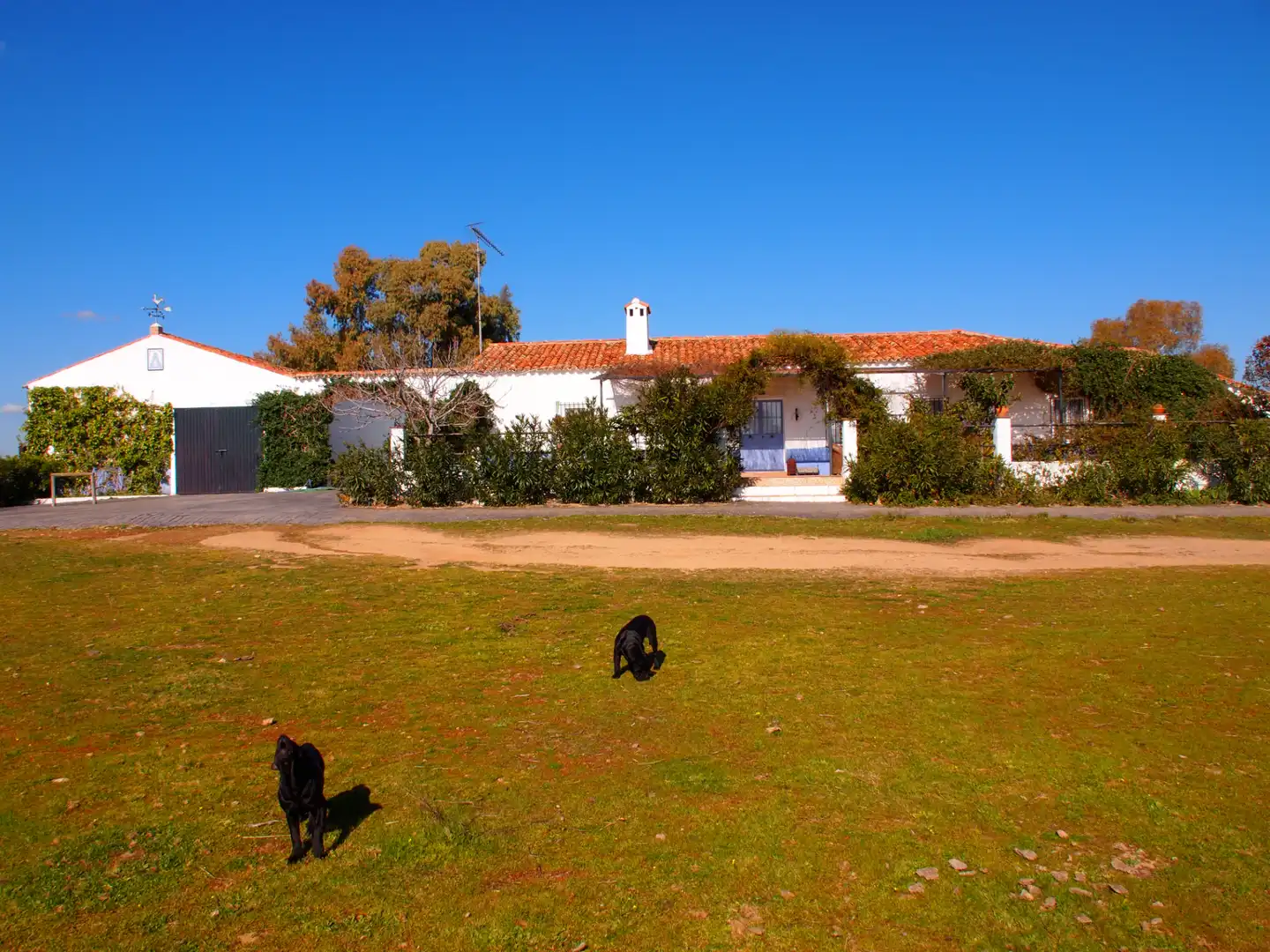 Country house zum Verkauf in Santa Olalla del Cala