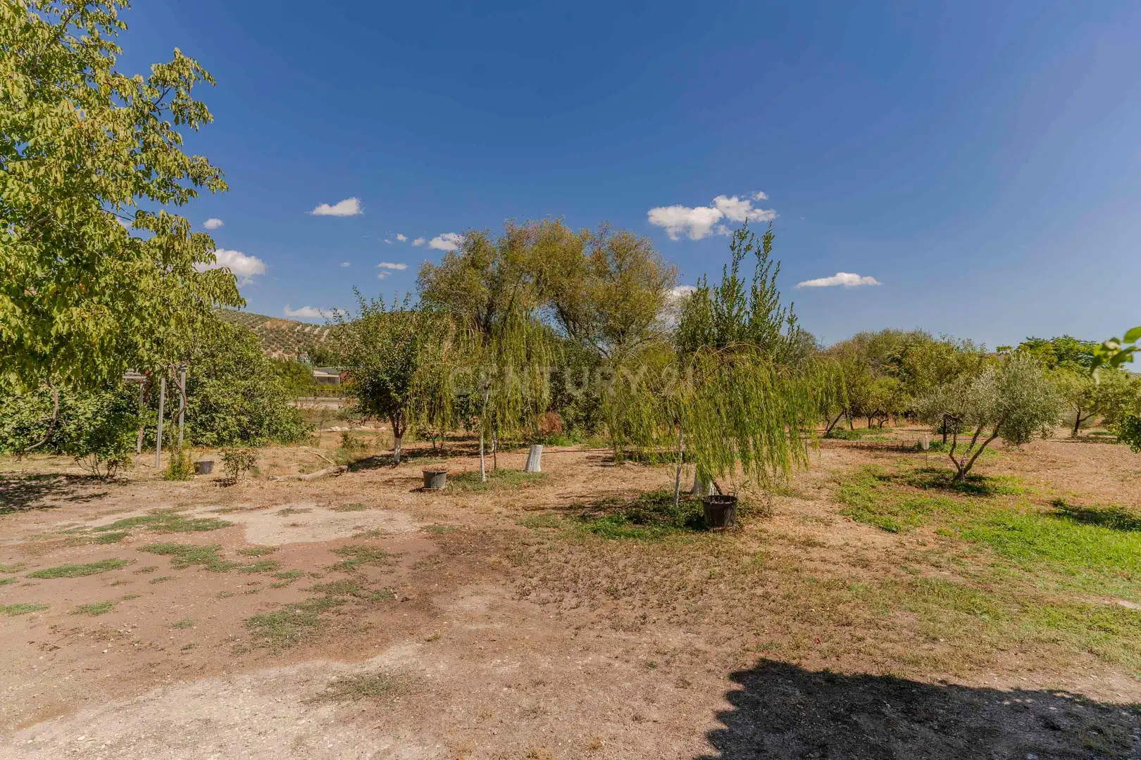 Casa o chalet en venta en Huelma con Jardín privado y Sauna