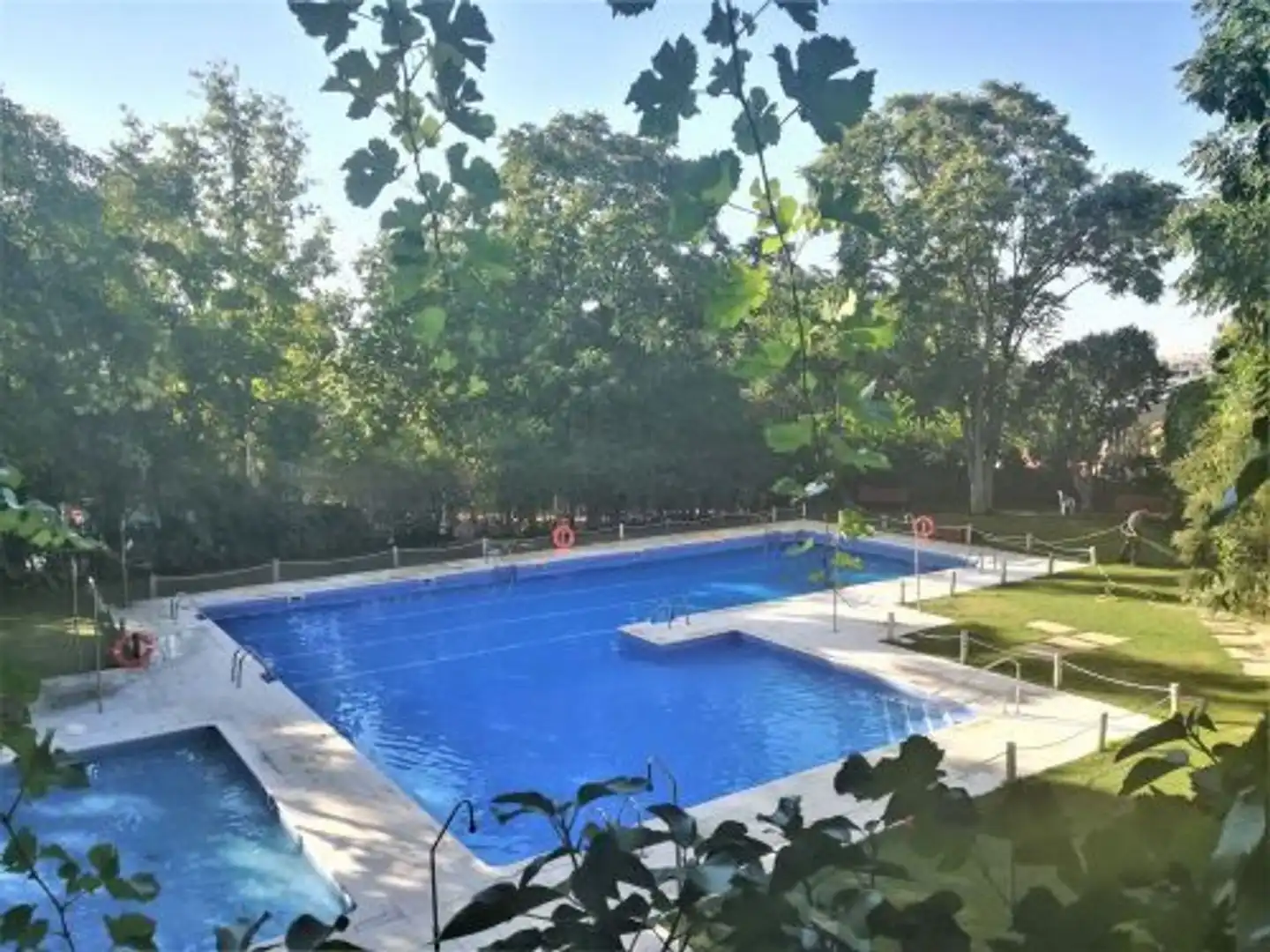 Piscina de Casa o chalet en venta en Madrid con Jardín privado, Terraza y Trastero