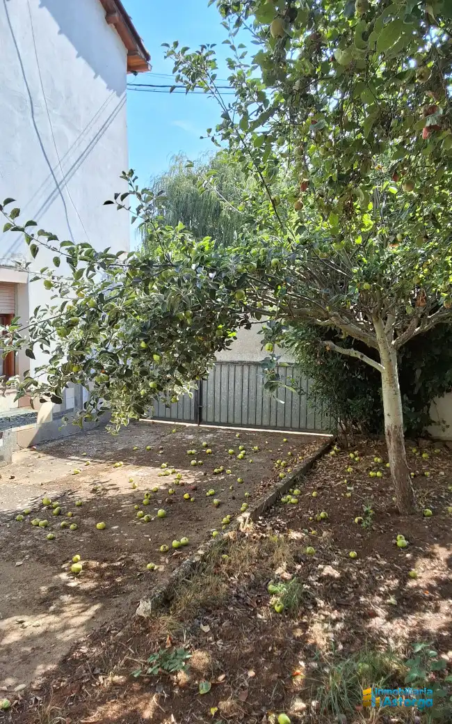 Casa in vendita a Calle la Rubia, imagen 4