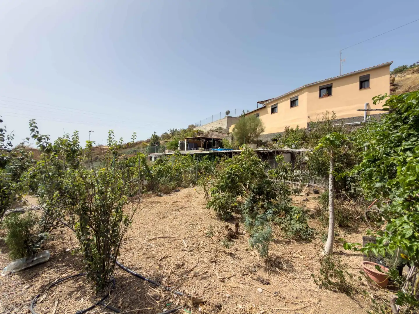 Finca rústica en venda en Güímar