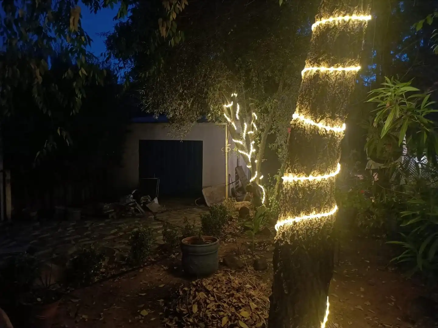 Jardí de Casa o xalet en venda en Piedrabuena amb Aire condicionat, Calefacció i Jardí privat