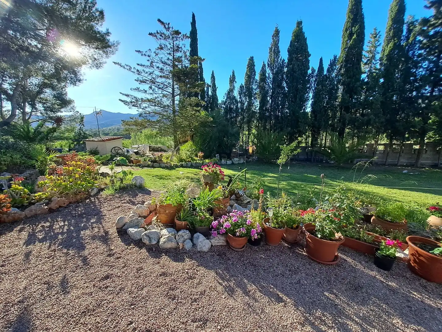 Maison rustique à vendre à Sax, imagen 8