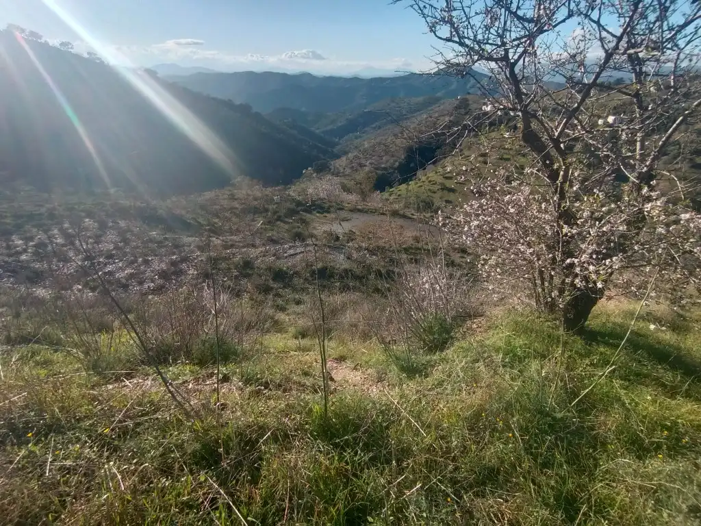 Terreno rústico en venta en Avenida Huerta De La, imagen 13