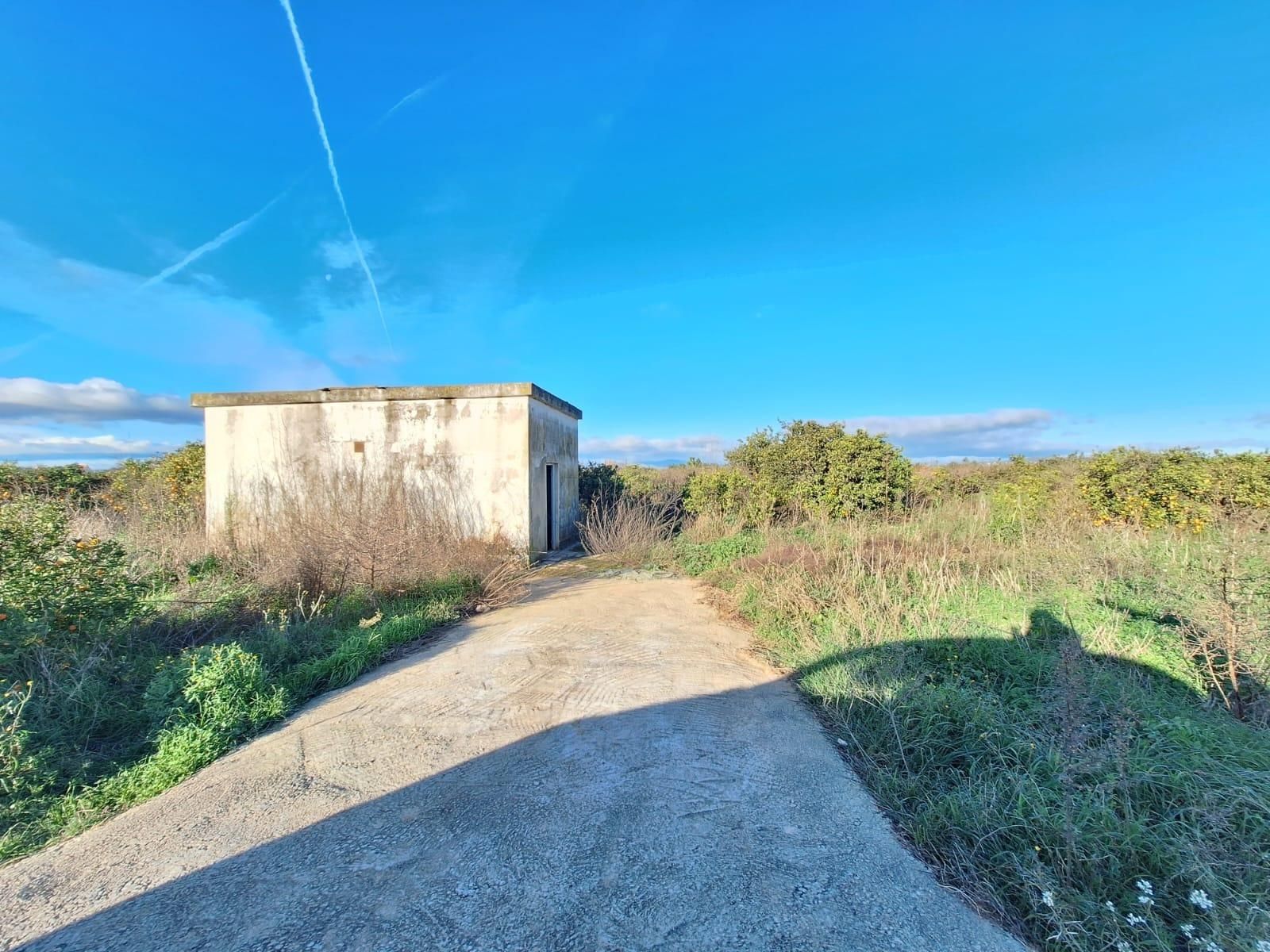 House or chalet for sale in Algemesí