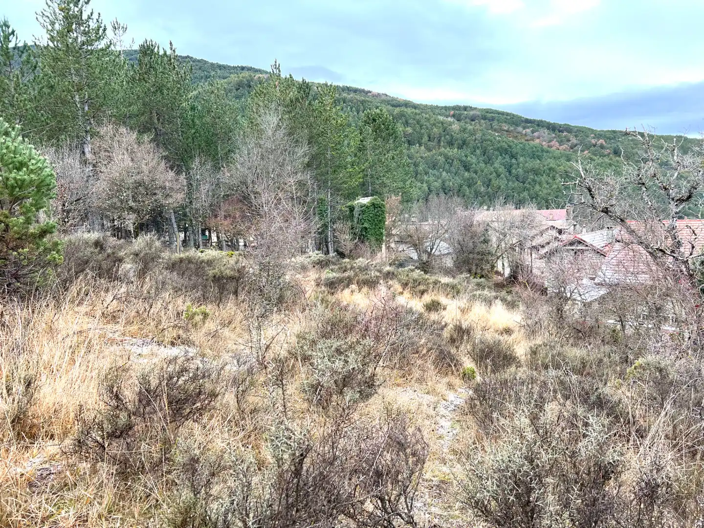 Grundstücke zum Verkauf in Jaca
