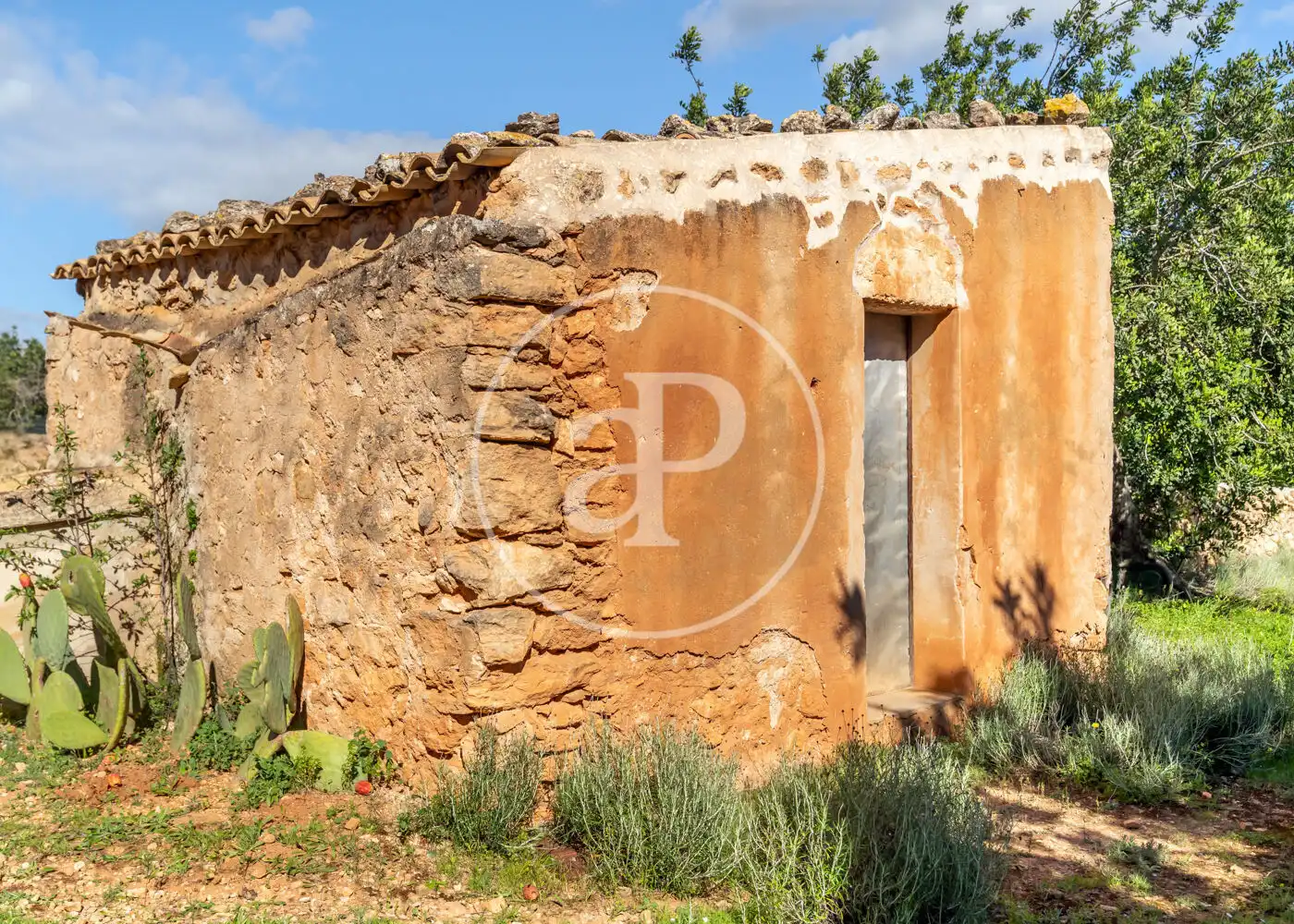 Vista exterior de Casa o xalet en venda en  Palma de Mallorca amb Aire condicionat, Calefacció i Jardí privat