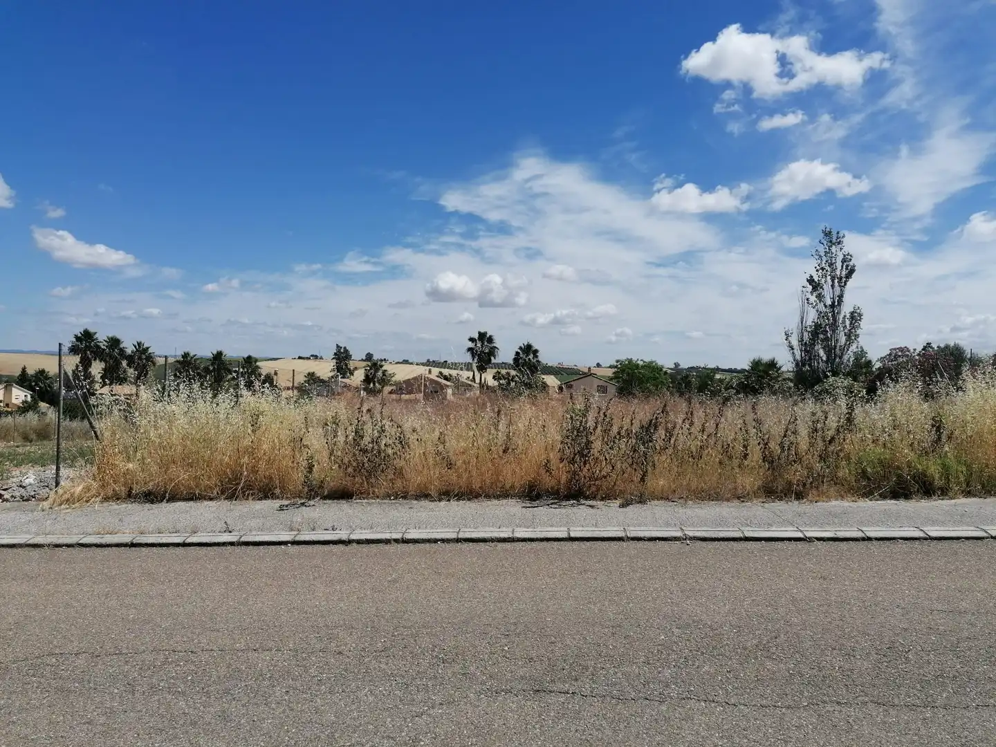 Terreny residencial en venda a La Carlota, imagen 3