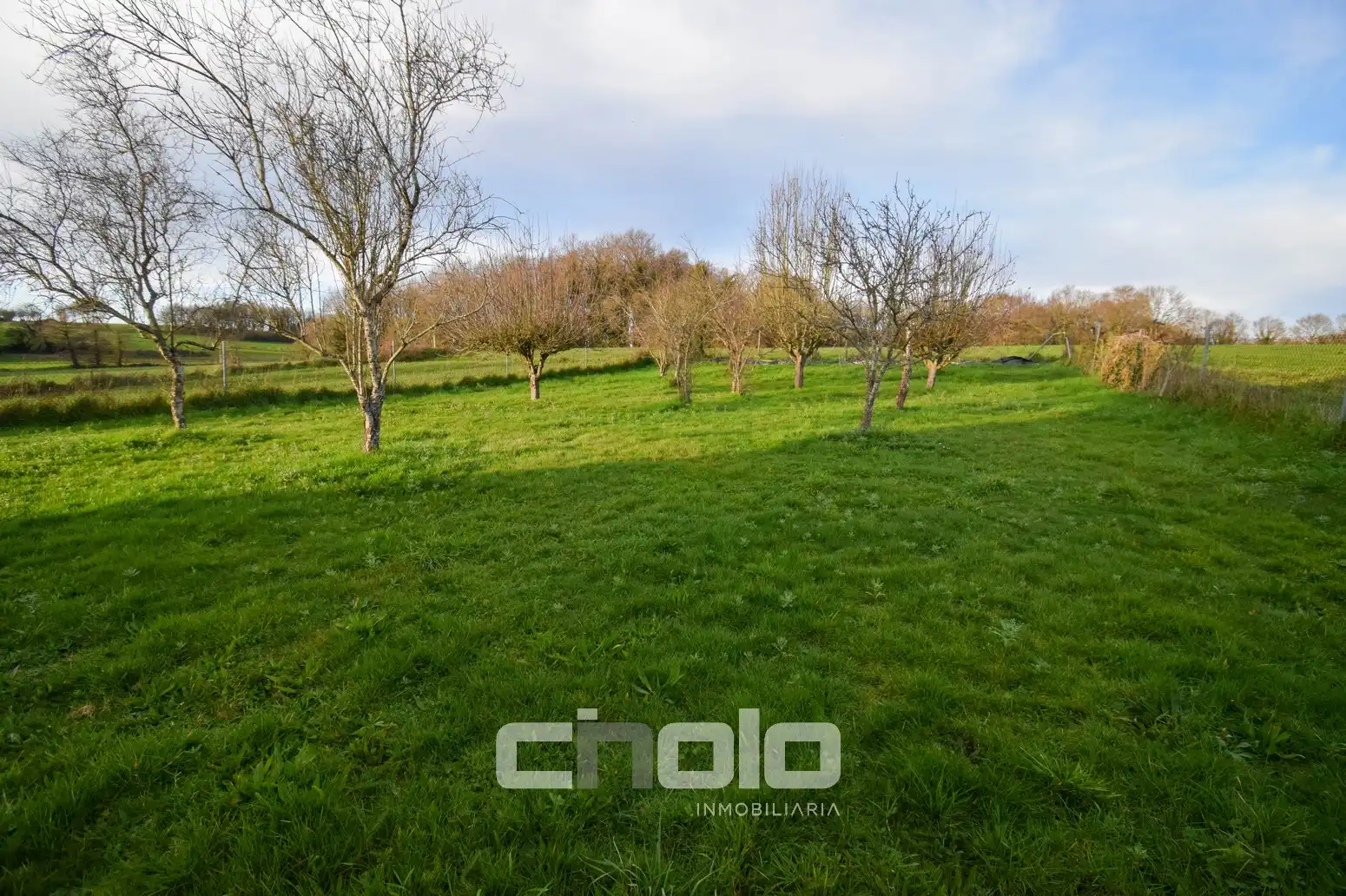 Casa o chalet en venta en Guntín con Calefacción