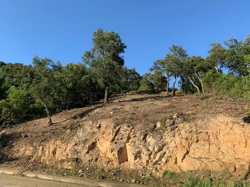Lands and plots for sale in Riudarenes