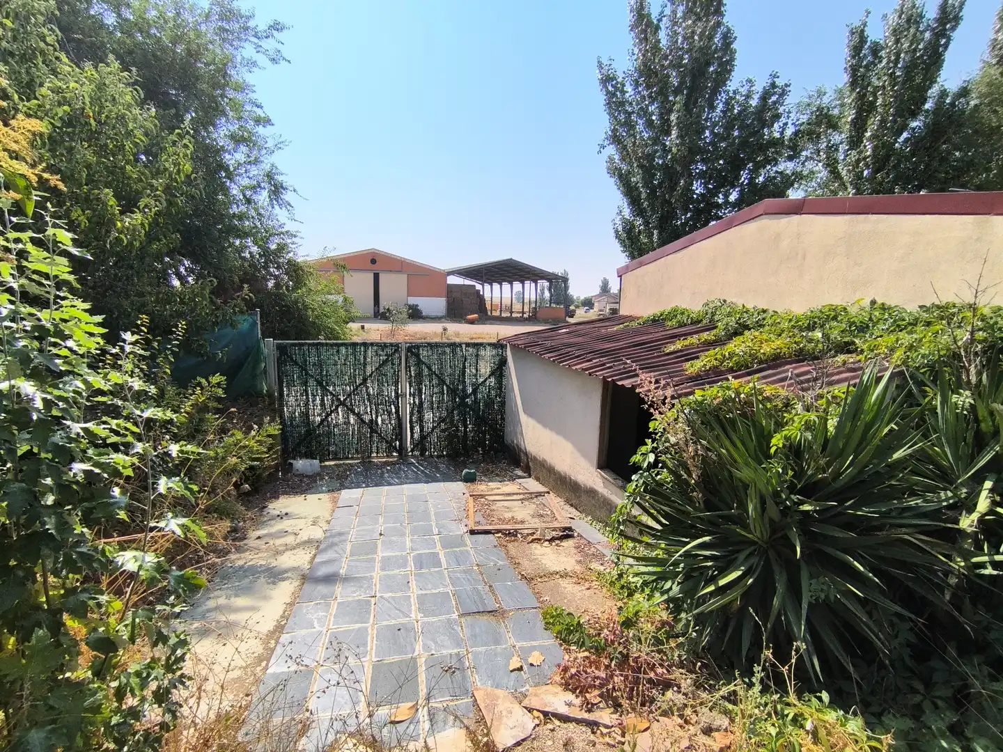 Jardín de Casa o chalet en venta en Frechilla con Calefacción, Jardín privado y Parquet
