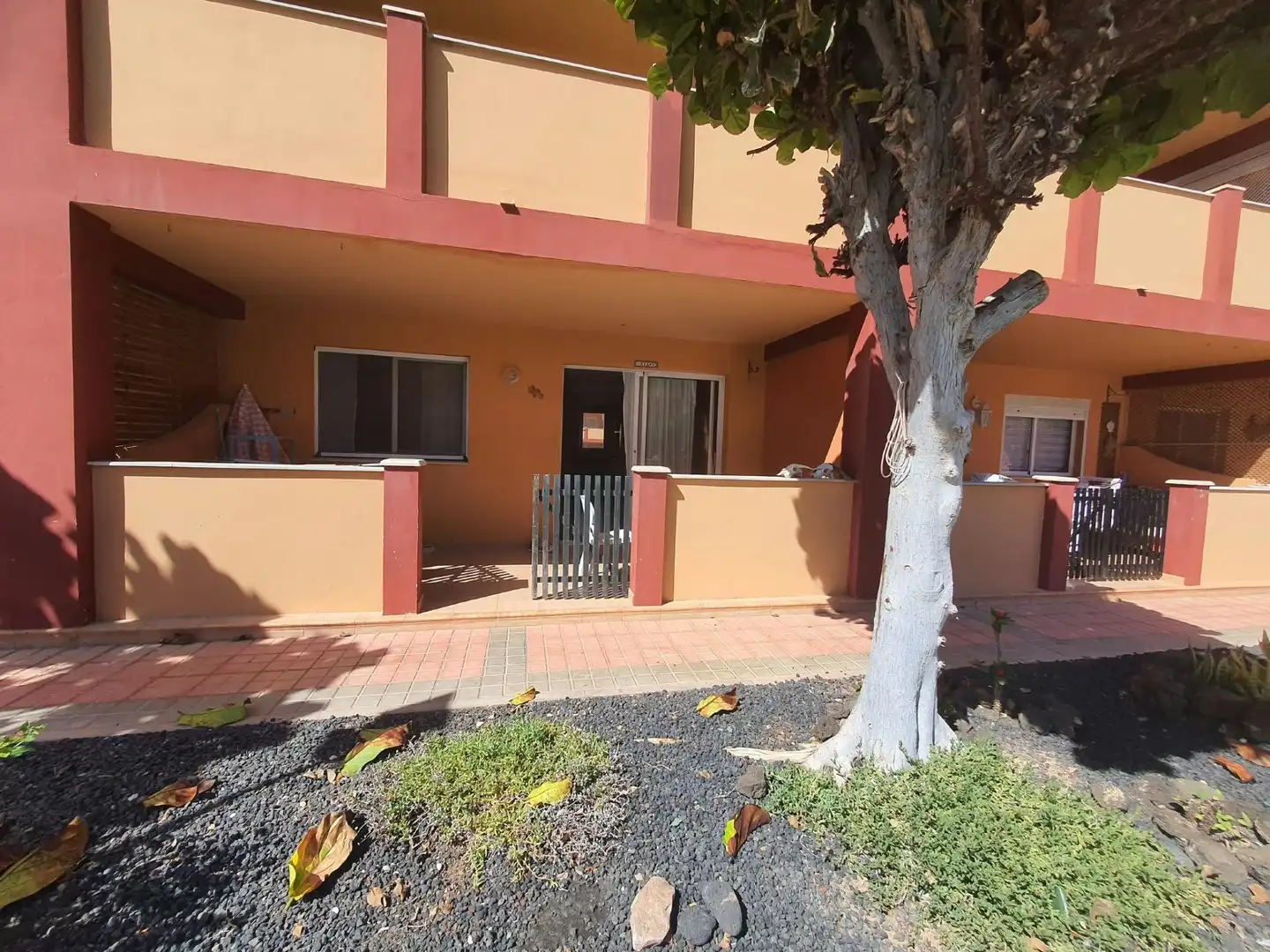 Exterior view of Ground floor for sale in Parque Holandés