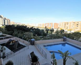 Swimming pool of Flat to rent in Alicante / Alacant  with Air Conditioner, Private garden and Terrace