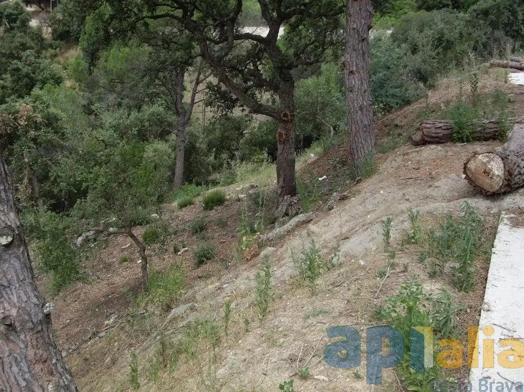 Residential land for sale in Carrer Alzina, imagen 8