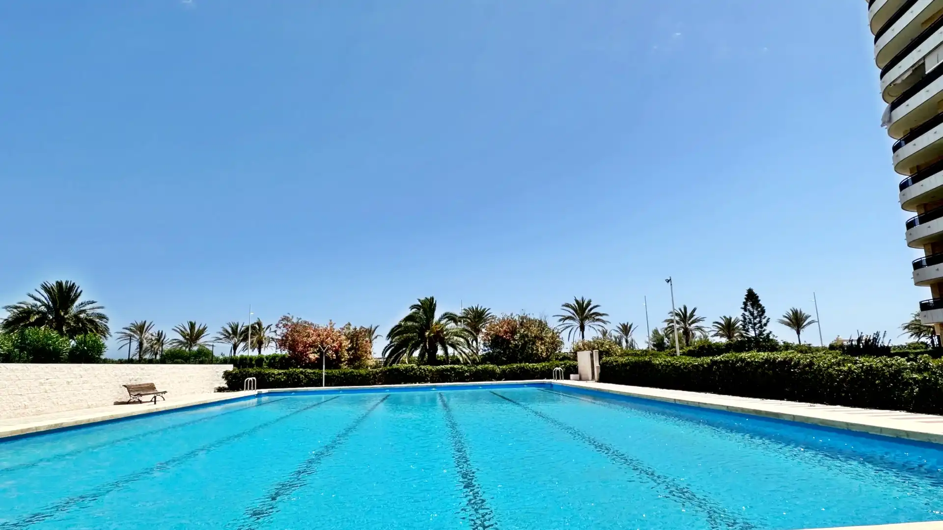 Piscina de Apartamento de alquiler en Gandia con Terraza, Amueblado y Horno