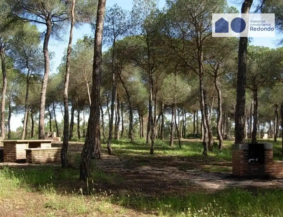 Terreno rustico in vendita a Moguer, imagen 2