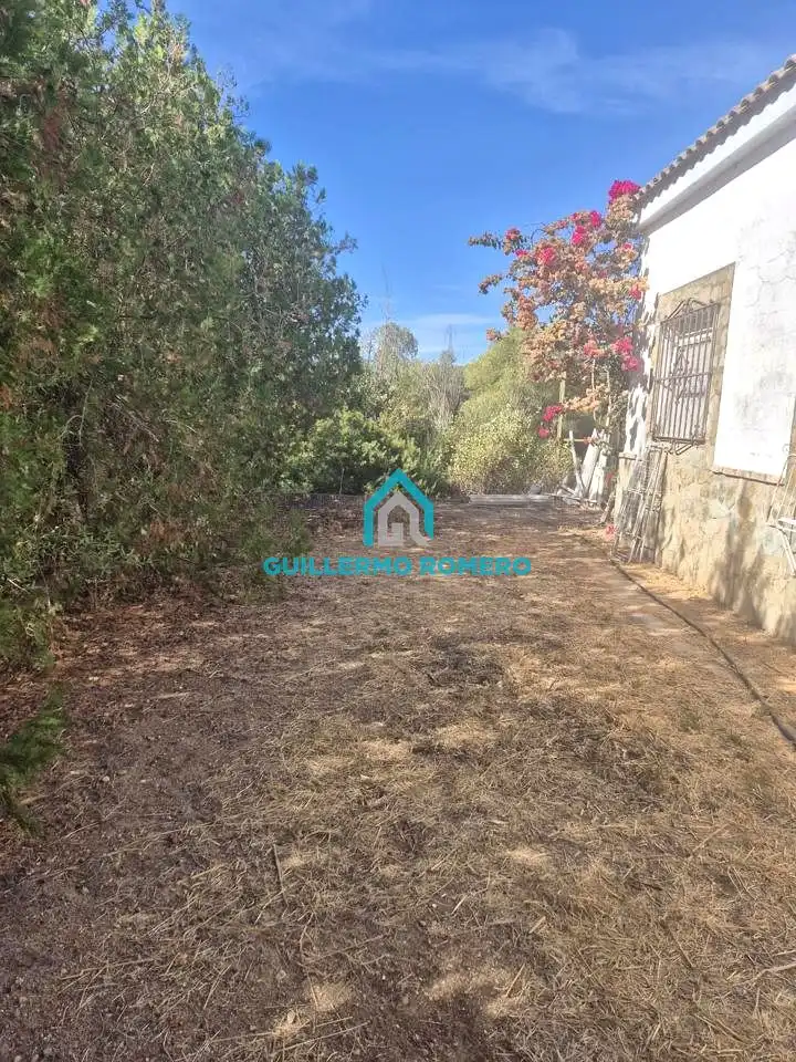 Finca rústica en venta en La Puebla del Río