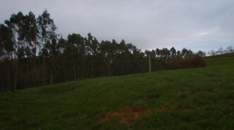 TERRENO EN VENTA  CON EUCALIPTO, immagine 5