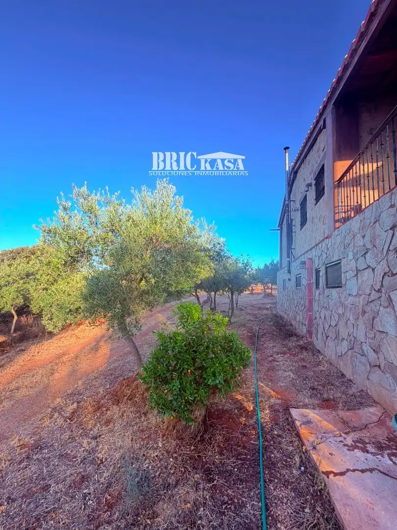 Vista exterior de Casa o chalet en venta en Cáceres con Trastero, Piscina y Amueblado