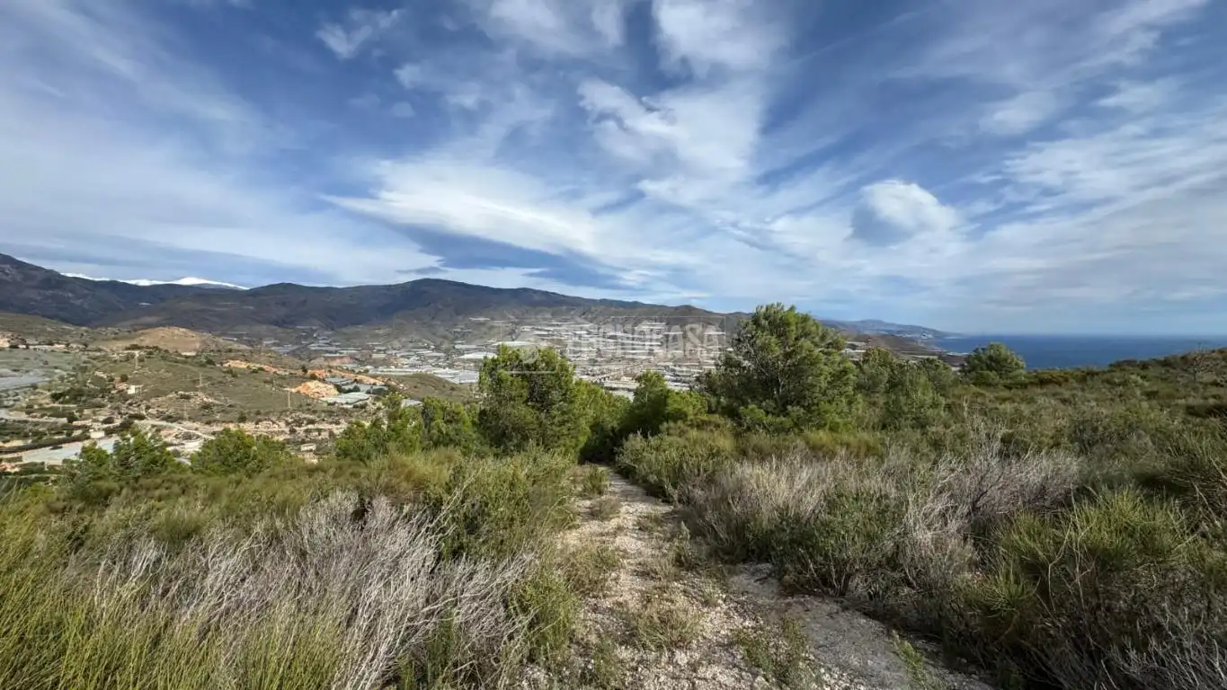 Vista exterior de Terreno en venta en Gualchos