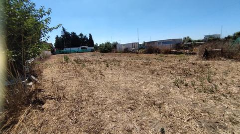 Photo 3 of Residential for sale in De la Jara, La Jara, Cádiz