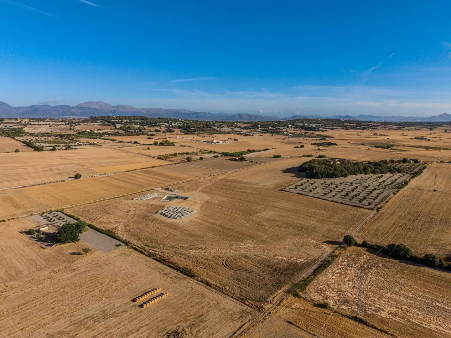 Terreny rústic en venda a Polígono parcela 207 2, imagen 16