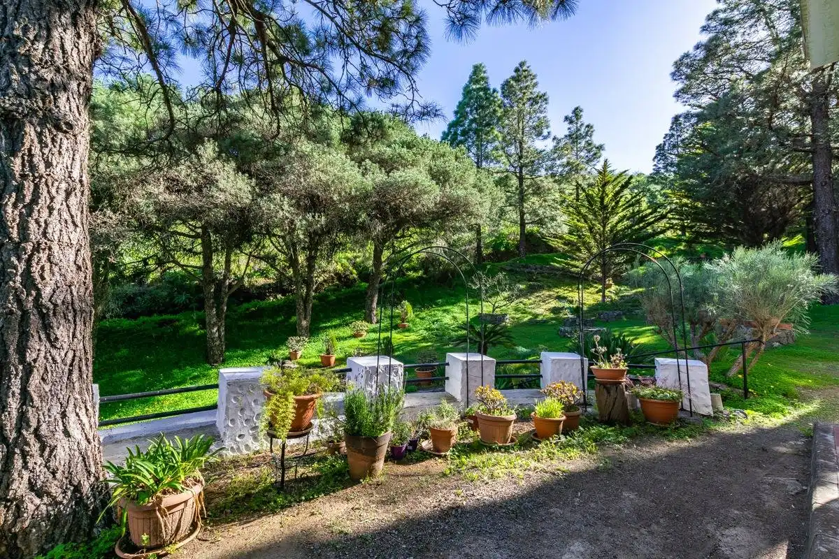 Jardí de Casa o xalet en venda en Telde amb Jardí privat