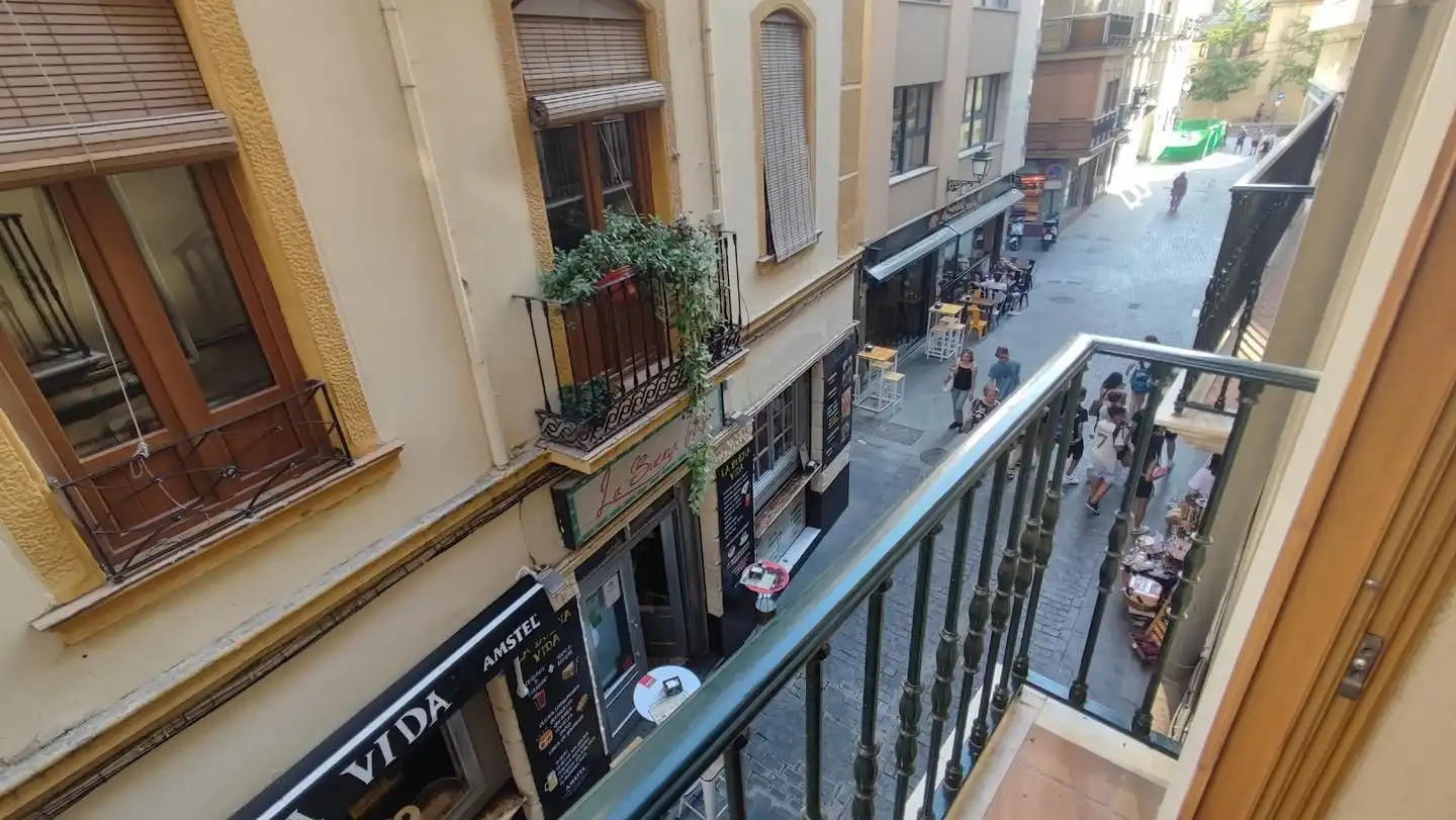 Appartamento con terrazza in affitto a Calle ALMIRECEROS, imagen 9