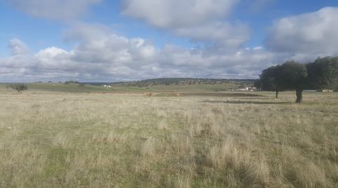 Foto 5 de Terreny en venda a Camino a Puebla de Azaba, 35, Casillas de Flores, Salamanca
