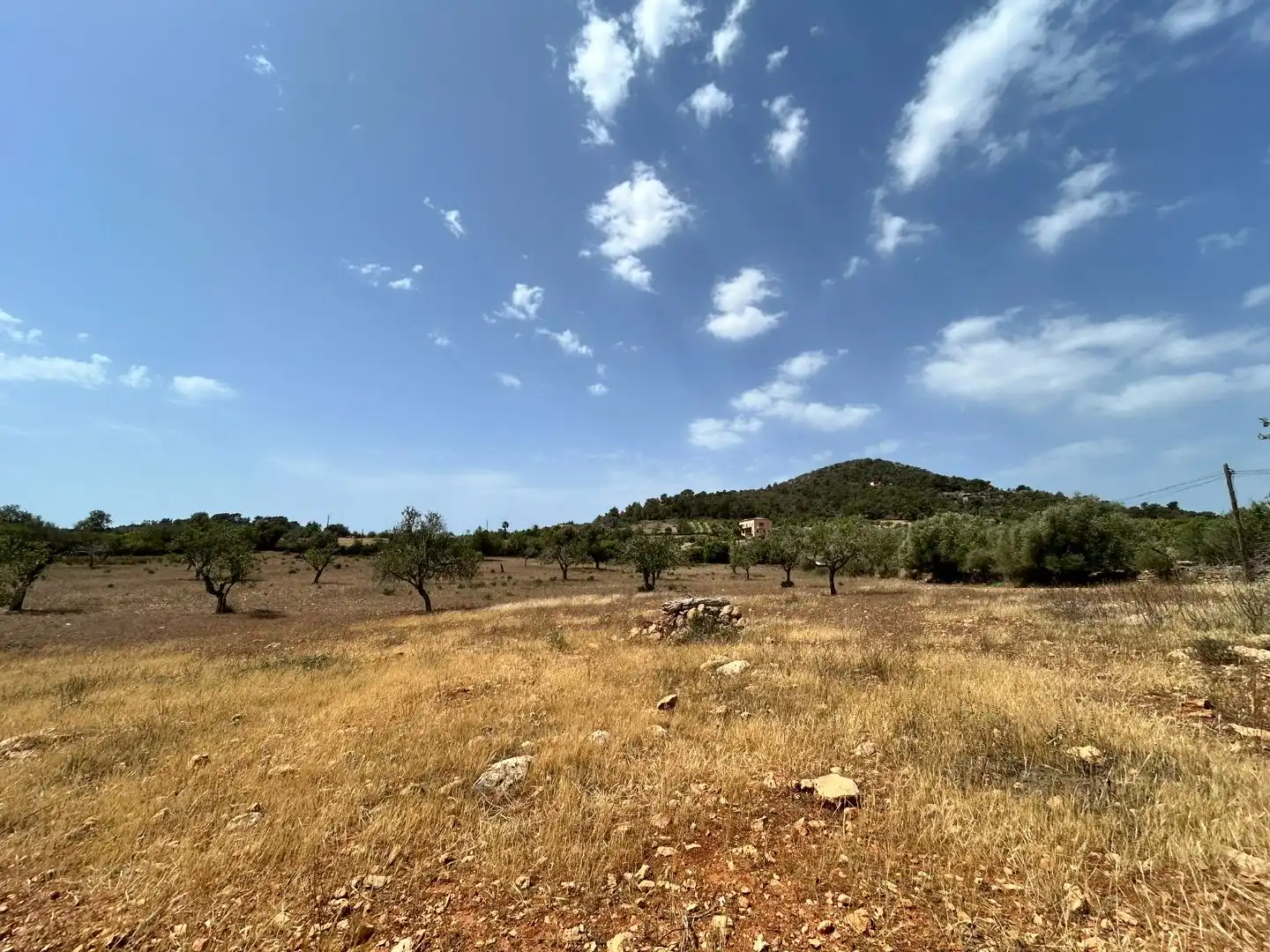 Terreny en venda en Santanyí