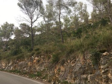 Terreno residenziale in vendita a Olivella