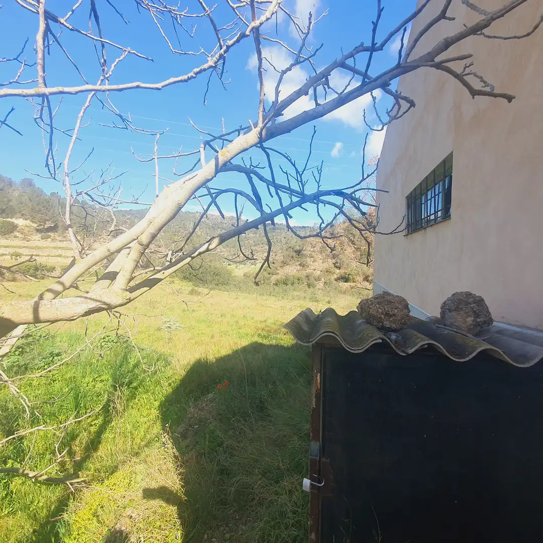 Maison rustique à vendre à Benifallet, imagen 7