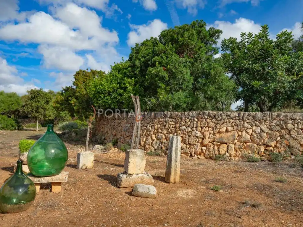 Casa rústica amb piscina en venda a cami sa vigia Polígono 4 Parcela 314, imagen 55