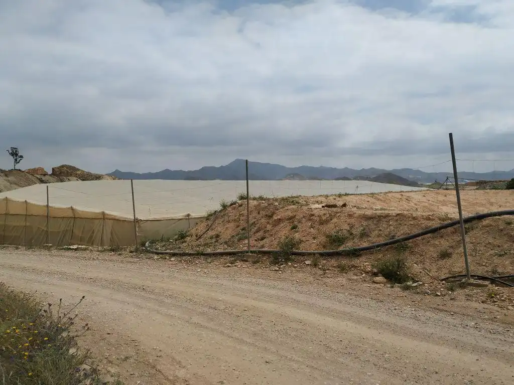 Rustikales Grundstück zum Verkauf in Pt Los Llanicos, Pol 17, imagen 6