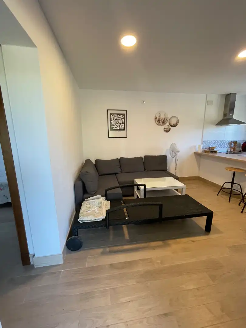 Sala d'estar de Casa o xalet en venda en Chiclana de la Frontera amb Calefacció, Jardí privat i Moblat