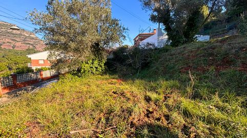 Terreno con gran potencial en el Racó del Bosc – Bigues i Riells, imatge 3