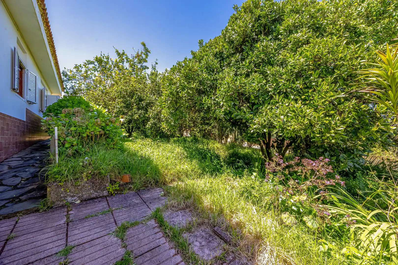 Casa o xalet en venda en Valleseco amb Jardí privat, Terrassa i Traster