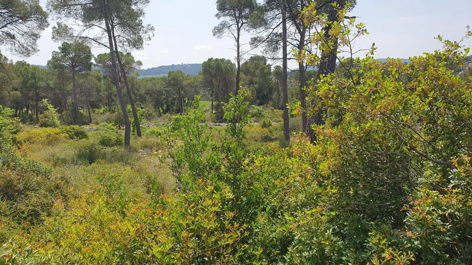 Residencial en venta en La Torre de Claramunt