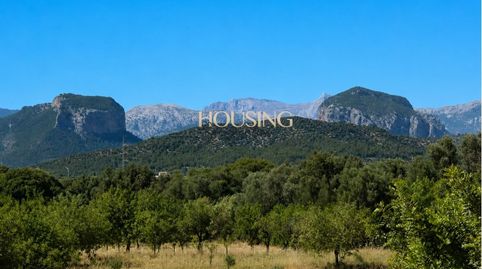 Photo 5 of Country homes for rent in Consell, Illes Balears