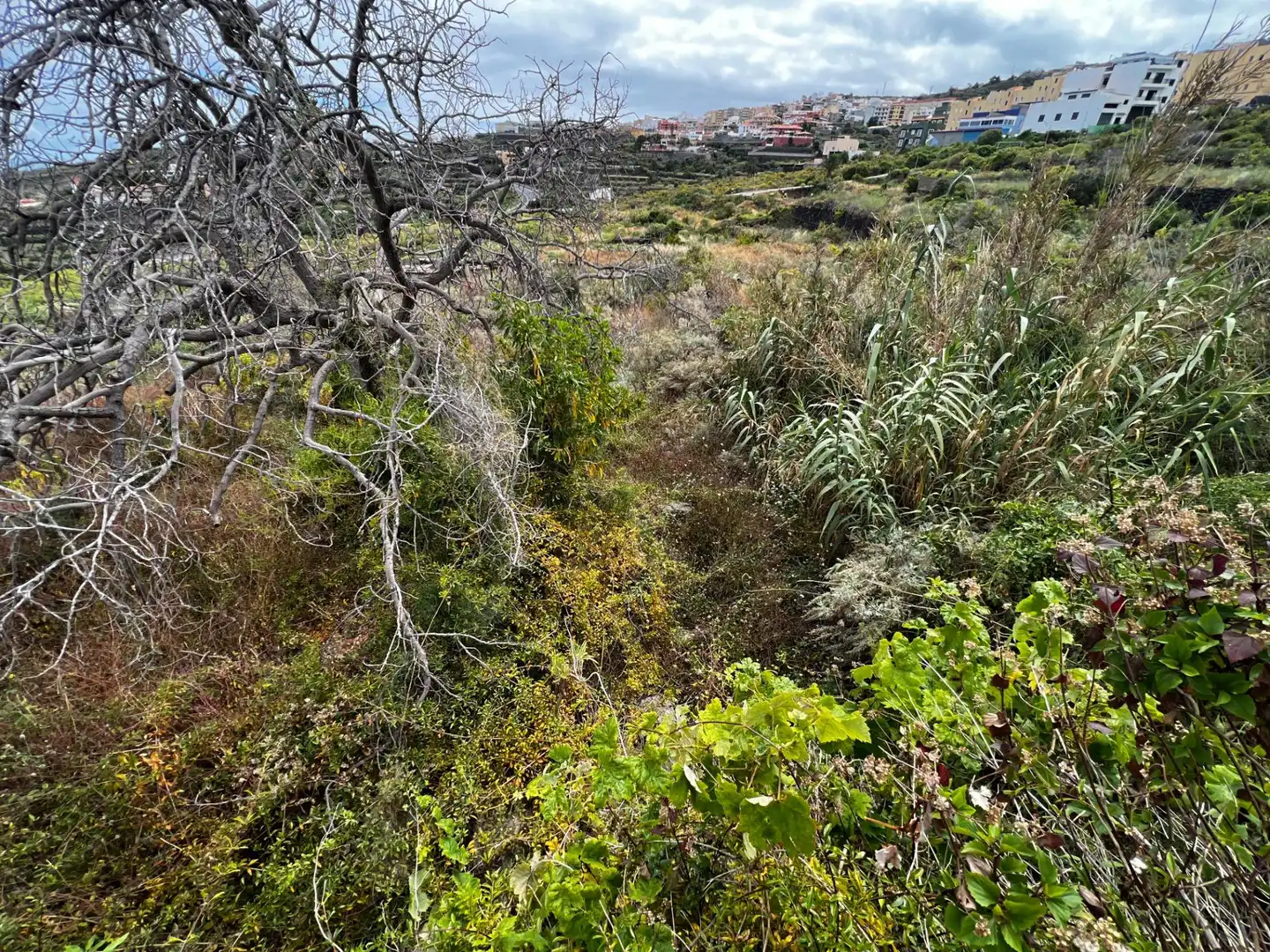 Residencial en venda en Icod de los Vinos