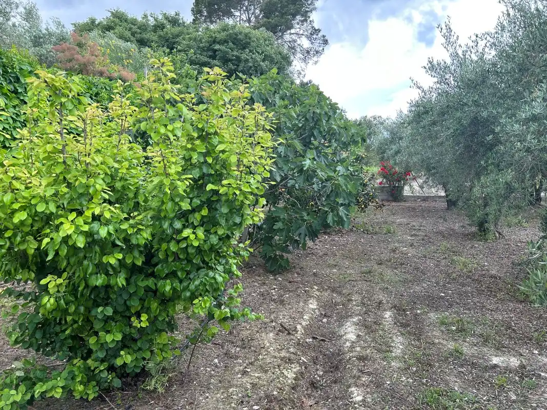 Casa o xalet en venda en Sempere amb Aire condicionat, Jardí privat i Terrassa