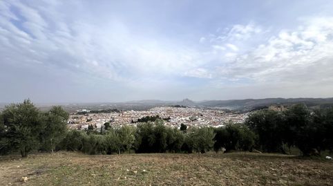 Foto 4 de Finca rústica en venda a Centro, Antequera