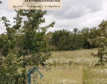 Foto 3 de Residencial en venda a Santo Tomé del Puerto, Segovia