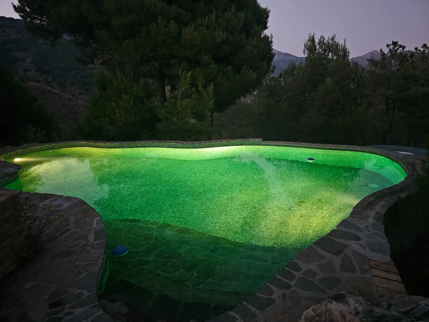 Swimming pool of Houses for sale in Canillas de Albaida  with Air Conditioner, Private garden and Terrace