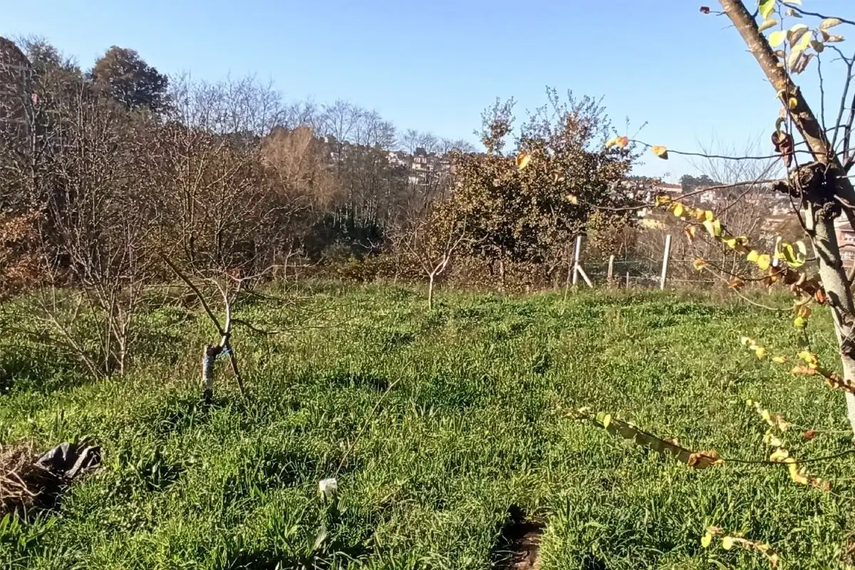 Terreni e lotti in vendita a A Baña