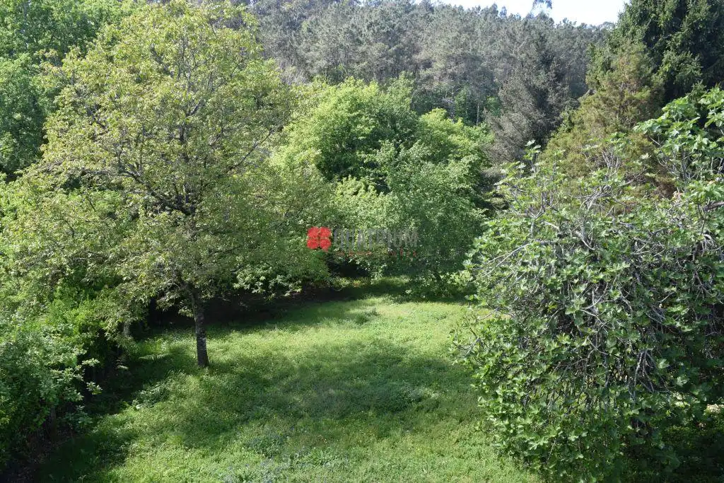 Casa o xalet en venda en Santiago de Compostela  amb Jardí privat