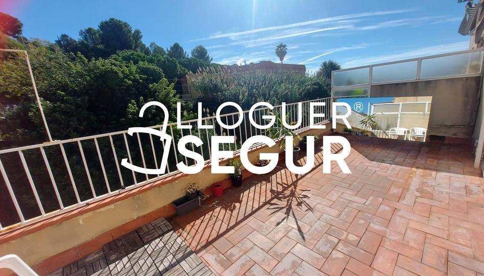 Foto 1 de Pis de lloguer a Font Florida, La Font de la Guatlla, Barcelona